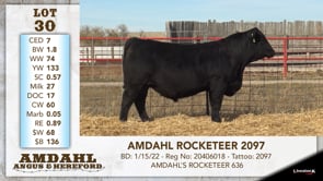 Lot #30 - AMDAHL ROCKETEER 2097