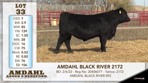 Lot #33 - AMDAHL BLACK RIVER 2172