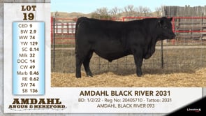 Lot #19 - AMDAHL BLACK RIVER 2031