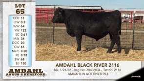Lot #65 - AMDAHL BLACK RIVER 2116