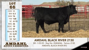 Lot #66 - AMDAHL BLACK RIVER 2130