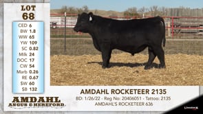 Lot #68 - AMDAHL ROCKETEER 2135