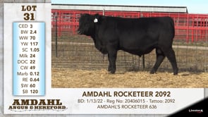 Lot #31 - AMDAHL ROCKETEER 2092