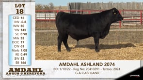 Lot #18 - AMDAHL ASHLAND 2074