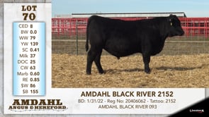 Lot #70 - AMDAHL BLACK RIVER 2152