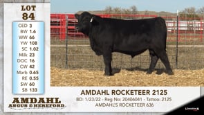 Lot #84 - AMDAHL ROCKETEER 2125