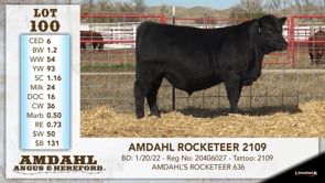 Lot #100 - AMDAHL ROCKETEER 2109
