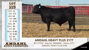 Lot #115 - AMDAHL HEAVY PLUS 2177