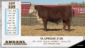 Lot #135 - TA UPROAR 213K