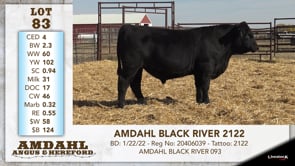 Lot #83 - AMDAHL BLACK RIVER 2122