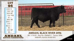 Lot #96 - AMDAHL BLACK RIVER 2096