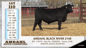Lot #110 - AMDAHL BLACK RIVER 2148