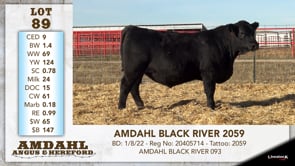 Lot #89 - AMDAHL BLACK RIVER 2059