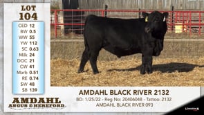 Lot #104 - AMDAHL BLACK RIVER 2132