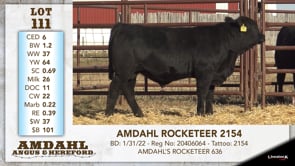 Lot #111 - AMDAHL ROCKETEER 2154