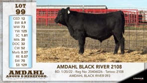 Lot #99 - AMDAHL BLACK RIVER 2108