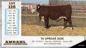 Lot #126 - TA UPROAR 202K