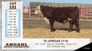 Lot #121 - TA UPROAR 211K