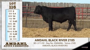 Lot #116 - AMDAHL BLACK RIVER 2185
