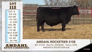 Lot #112 - AMDAHL ROCKETEER 2158