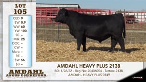 Lot #105 - AMDAHL HEAVY PLUS 2138