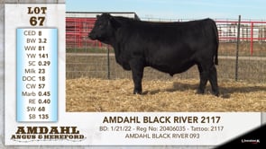Lot #67 - AMDAHL BLACK RIVER 2117