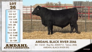 Lot #36 - AMDAHL BLACK RIVER 2046