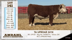 Lot #141 - TA UPROAR 241K
