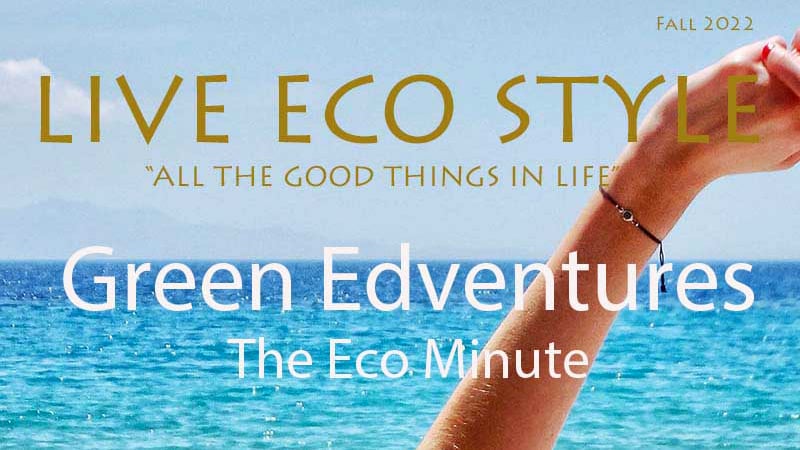 Green EdVentures