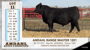 Lot #11 - AMDAHL RANGE MASTER 1201