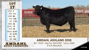 Lot #17 - AMDAHL ASHLAND 2058