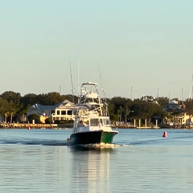 TAILS UP CHARTERS - Updated April 2024 - 133 Inlet Harbor Rd, Ponce Inlet,  Florida - Fishing - Phone Number - Yelp