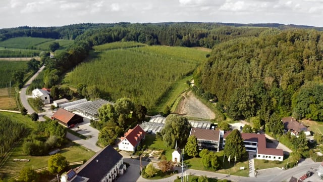 Klimawandel: Sorge um Bayerisches Bier