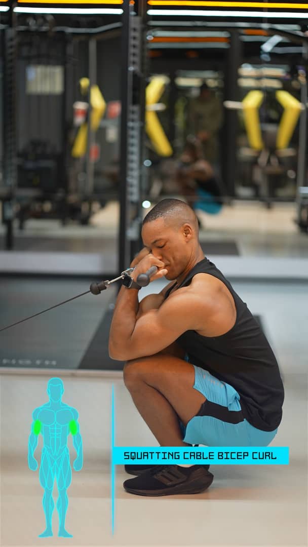 Squatting Cable Bicep Curl on Vimeo