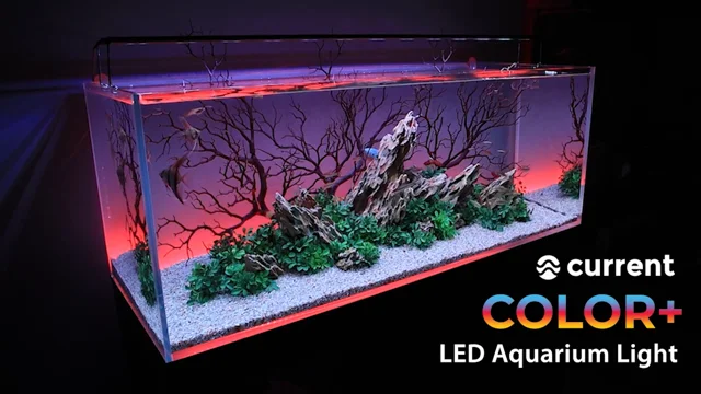 The Top LED Aquarium Lighting Picks for 2021