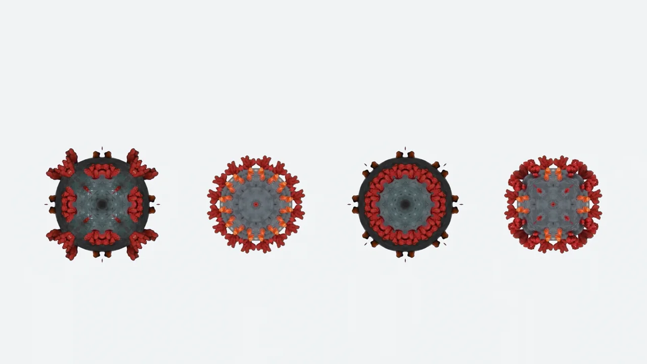 COVID-19's Lessons for Future Pandemics | Harvard Medical School