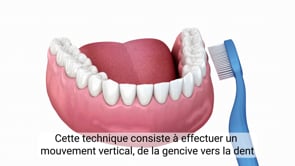 Comment se brosser les dents ?