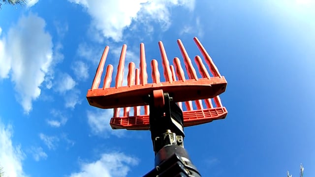 Olive Harvest With Rake, Olives, Collection. Free Stock Video - Pixabay