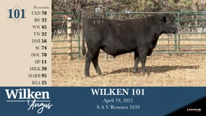 Lot #101 - WILKEN 101