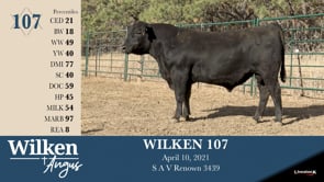 Lot #107 - WILKEN 107