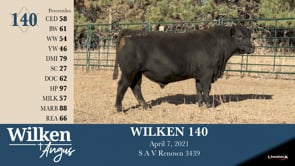 Lot #140 - WILKEN 140