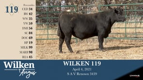 Lot #119 - WILKEN 119