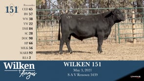 Lot #151 - WILKEN 151