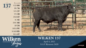 Lot #137 - WILKEN 137