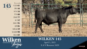 Lot #145 - WILKEN 145