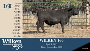 Lot #160 - WILKEN 160