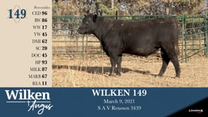Lot #149 - WILKEN 149