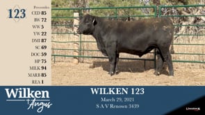 Lot #123 - WILKEN 123