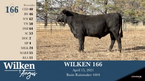 Lot #166 - WILKEN 166