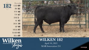 Lot #182 - WILKEN 182